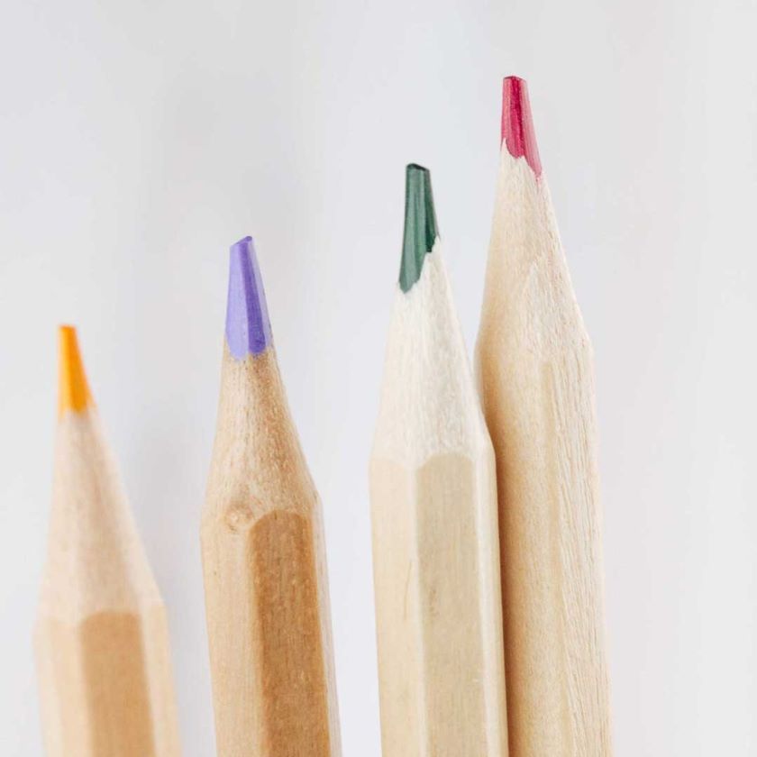 A selection of colored pencils stand arranged in a row.