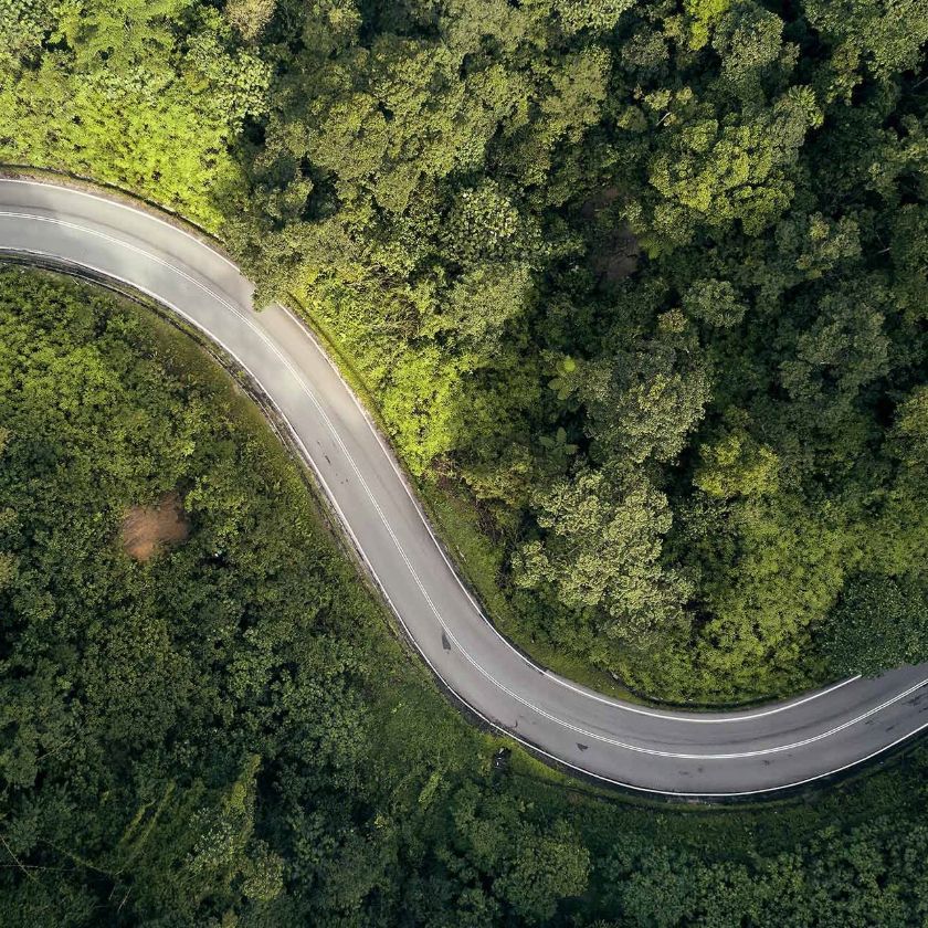 Aerial view showing a winding road cutting through dense green forest, creating a scenic path through the trees.