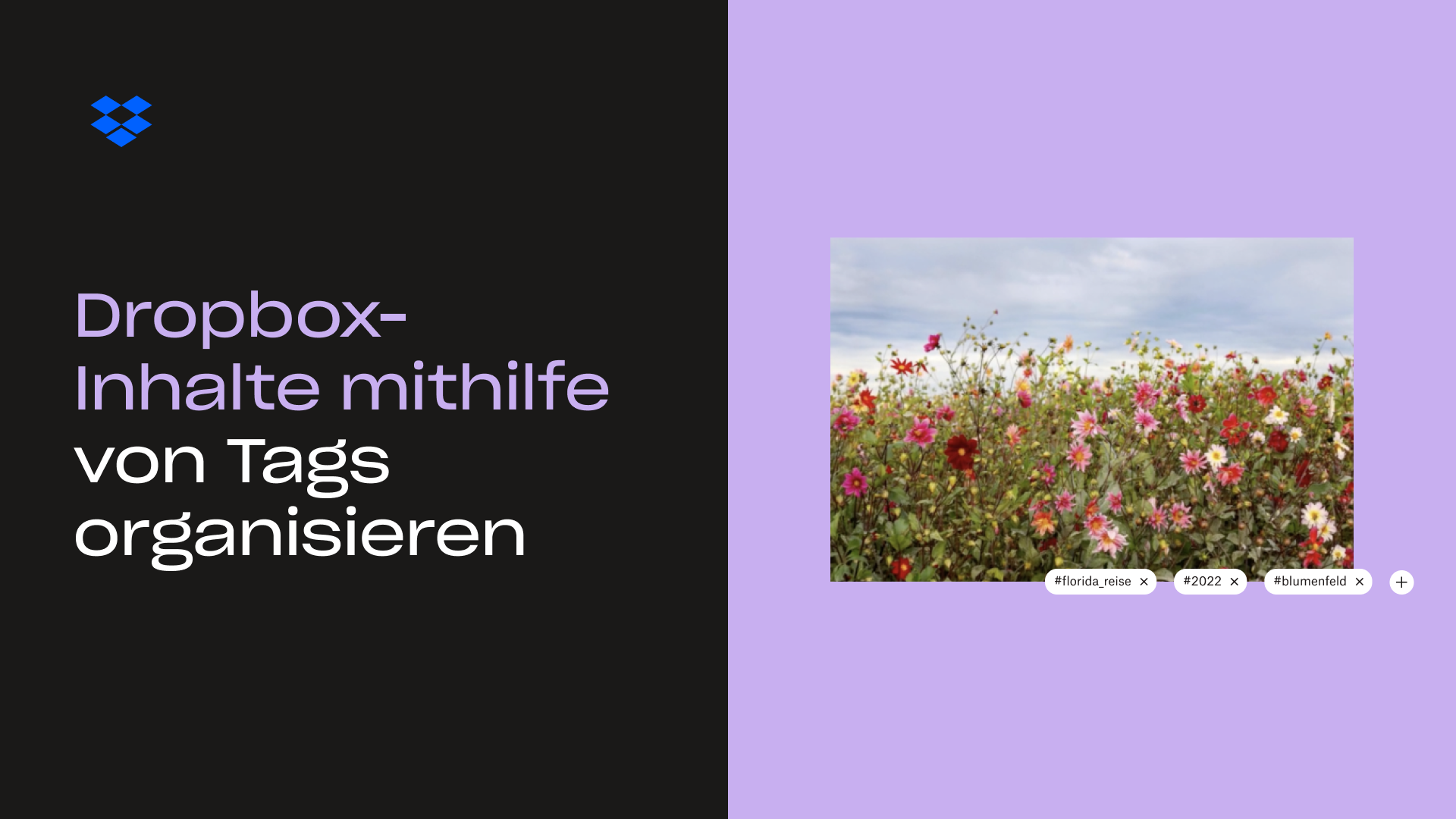 Ihre Dropbox-Inhalte mithilfe von Tags organisieren, Miniaturansicht 