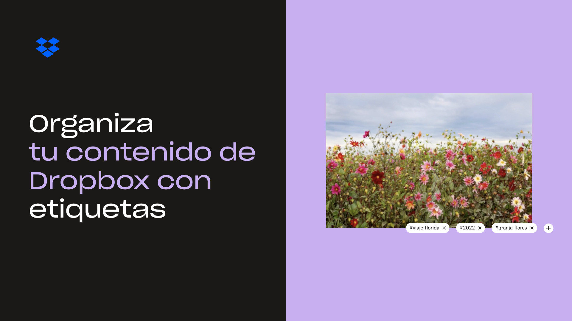 Organiza tu contenido de Dropbox con etiquetas en miniatura
