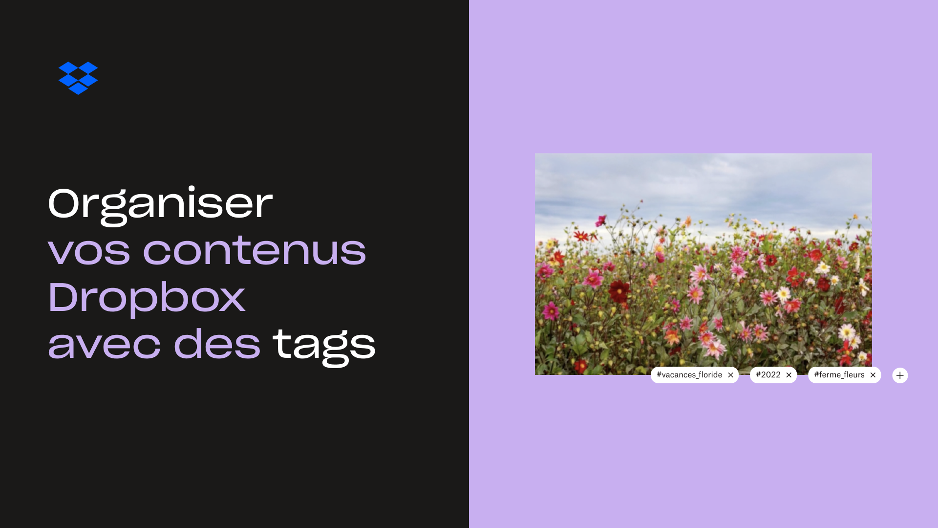 Organiser vos contenus Dropbox avec des tags pour vignettes