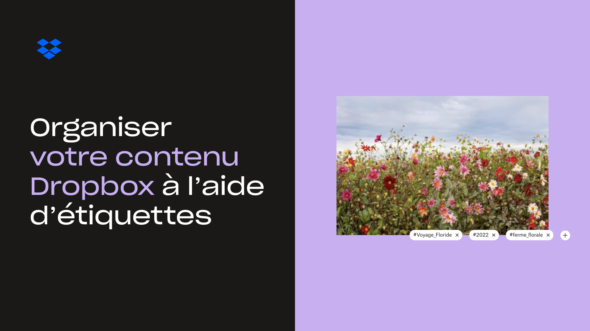 Organisez votre contenu Dropbox à l’aide d’étiquettes – vignette 
