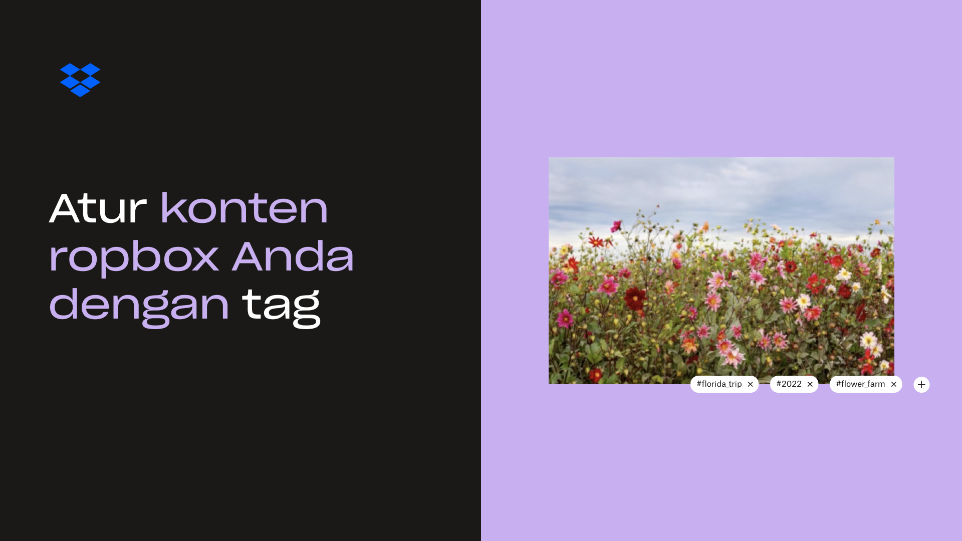 Atur konten Dropbox Anda dengan gambar mini tag