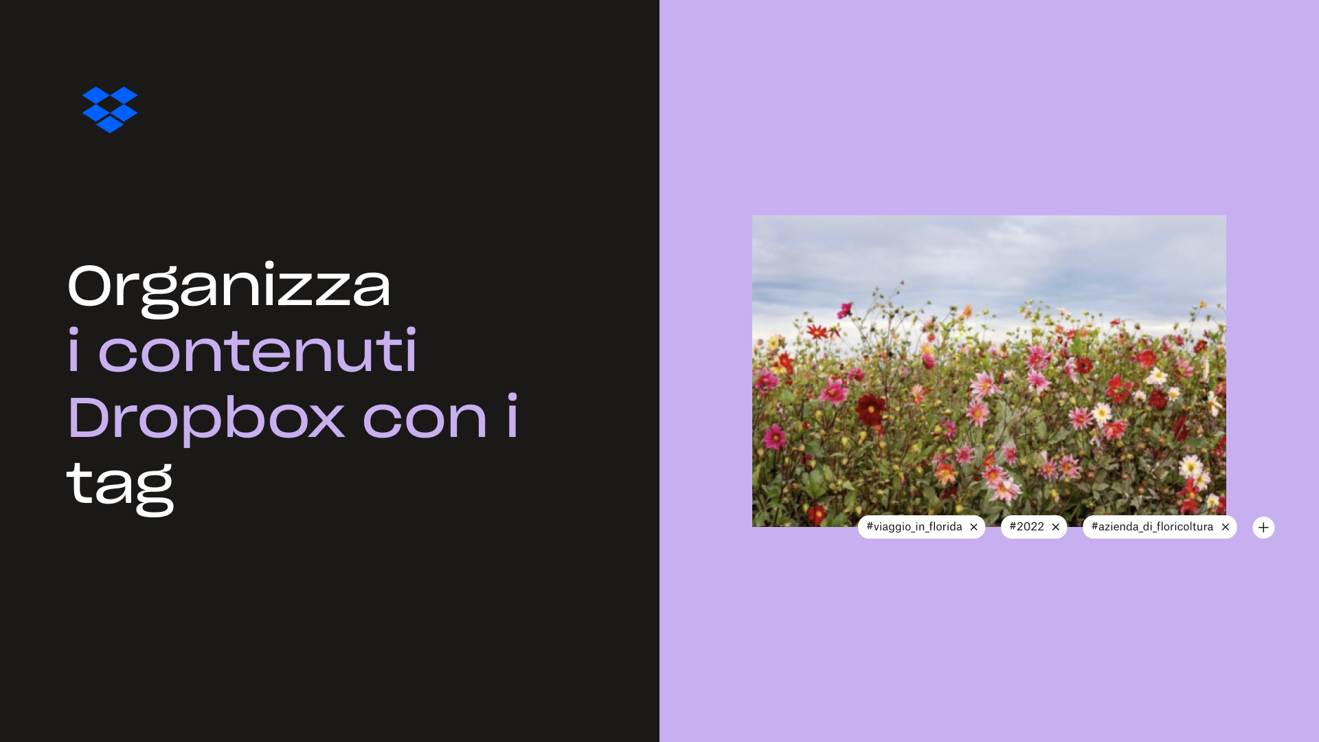 Miniatura Organizza i contenuti di Dropbox con i tag