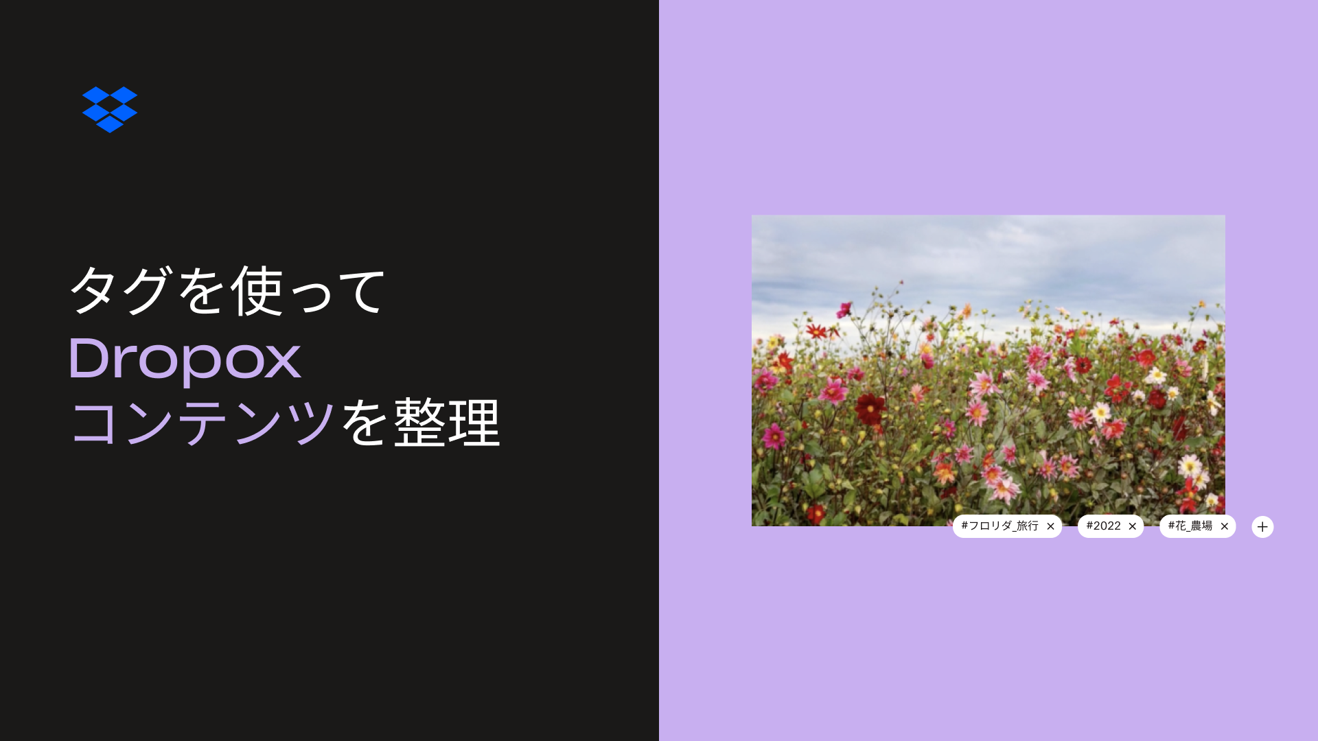 「タグを使って Dropbox コンテンツを整理」のサムネイル