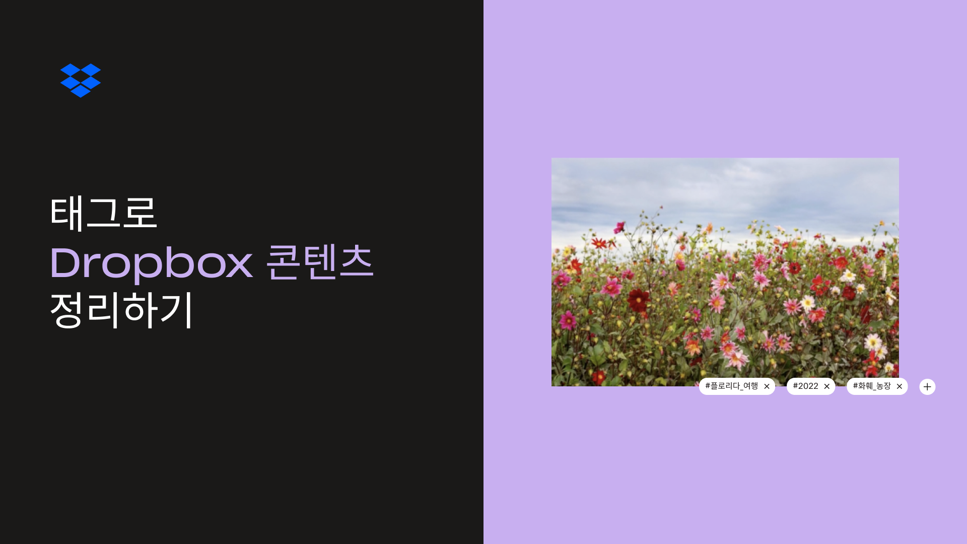 태그로 Dropbox 콘텐츠 정리하기 축소판 이미지