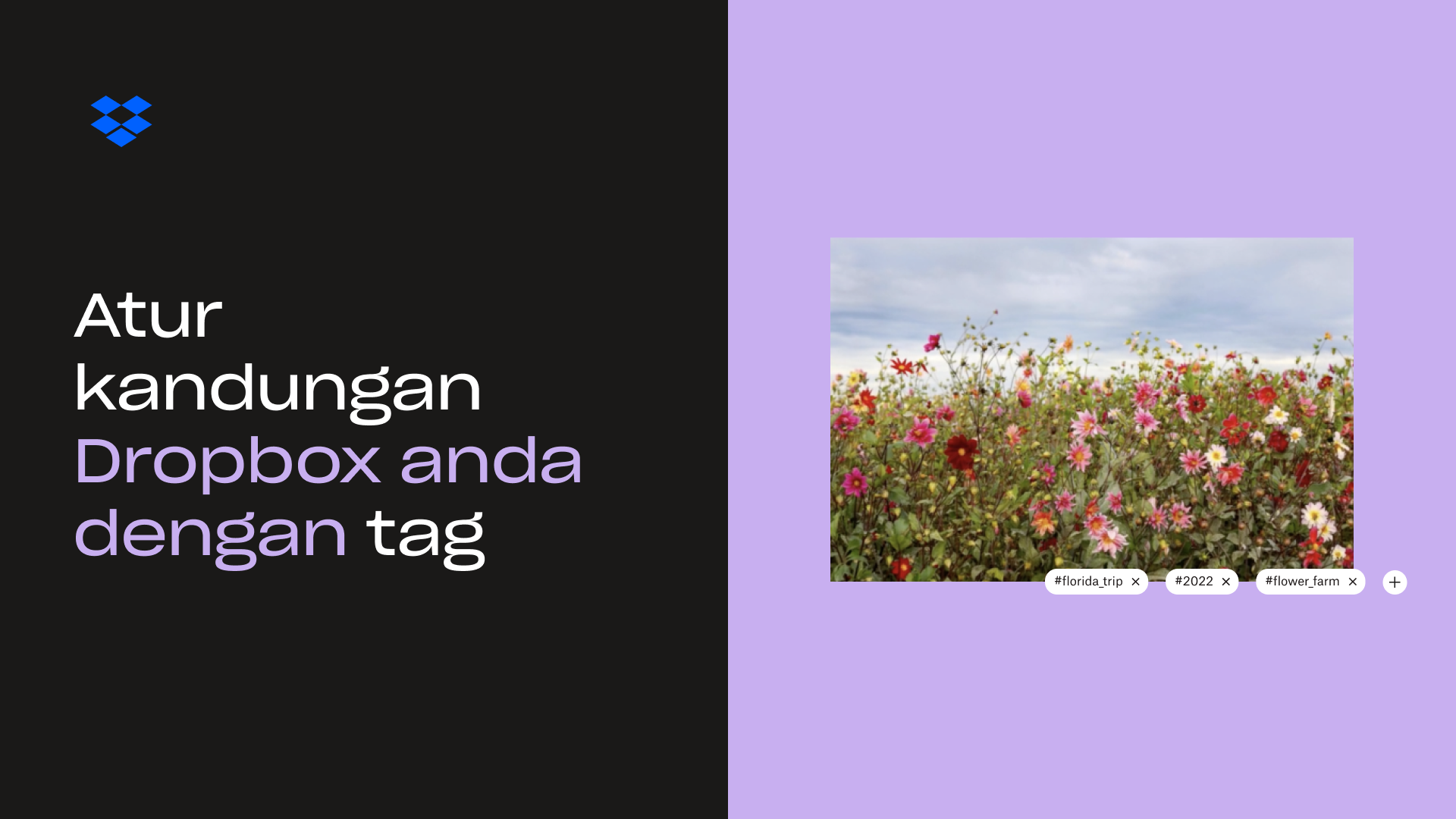 Susun kandungan Dropbox anda dengan pratonton mini tag