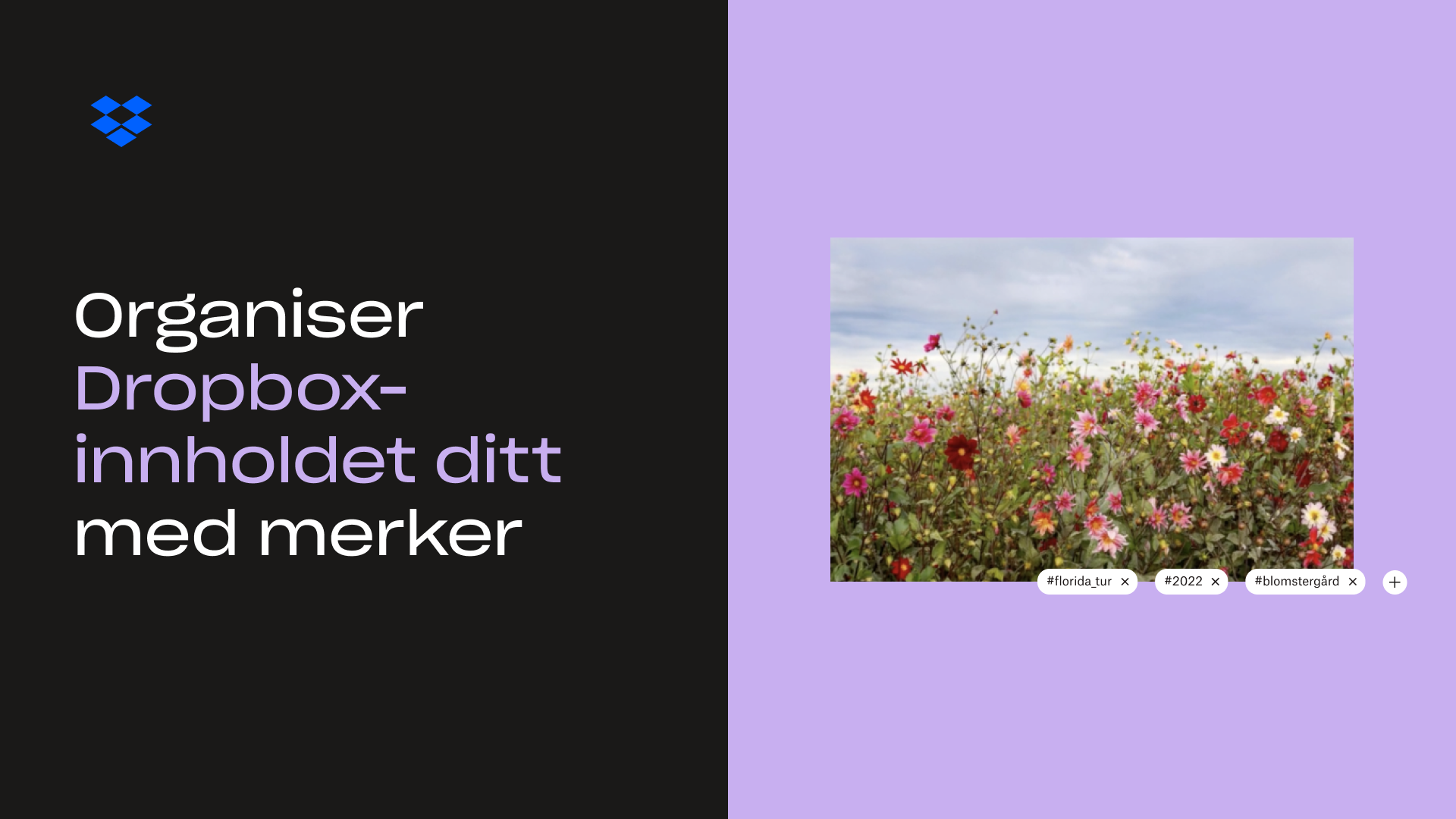 Organiser Dropbox-innholdet ditt med merker miniatyrbilde
