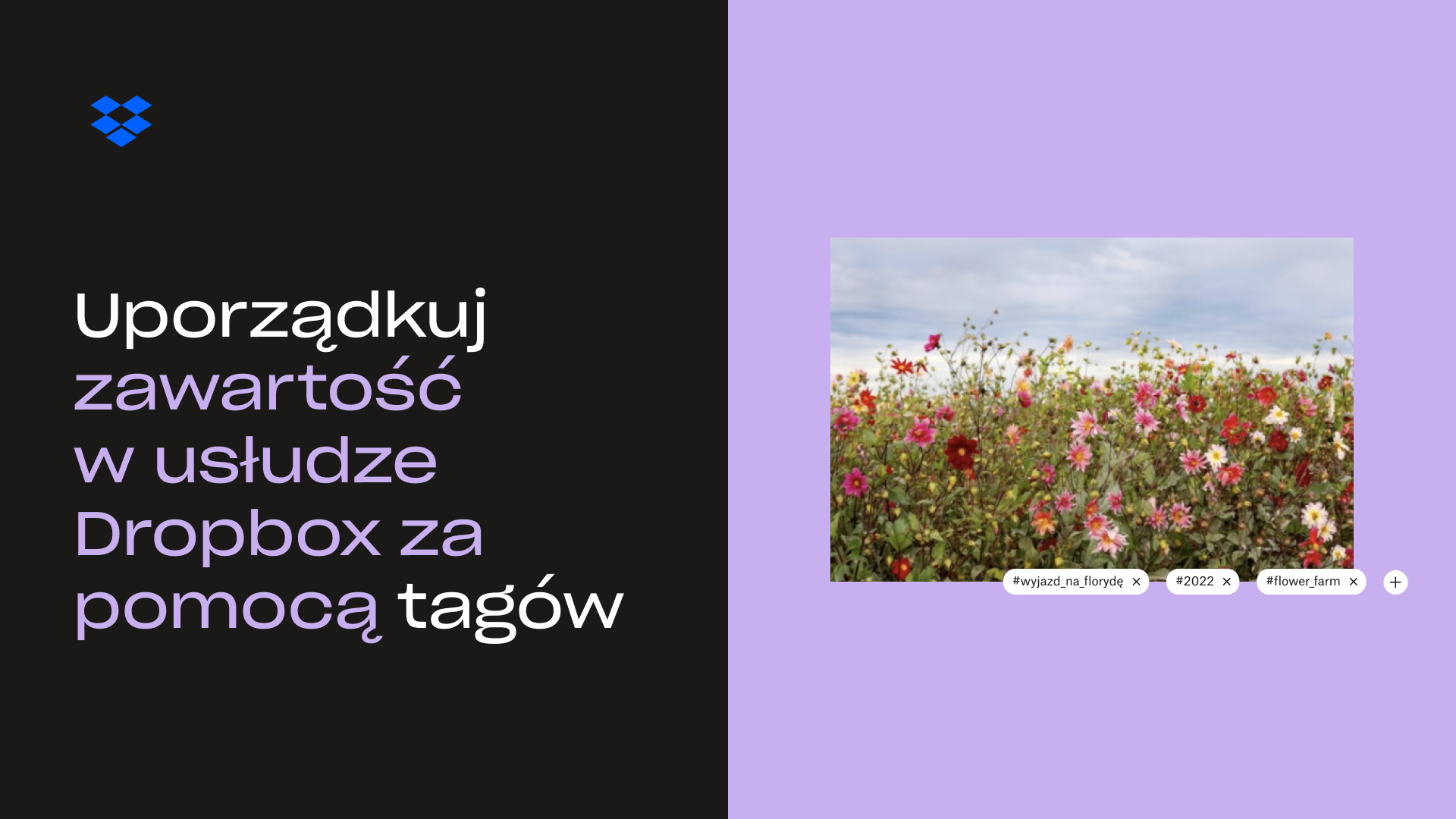 Uporządkuj zawartość w usłudze Dropbox za pomocą miniatury tagów