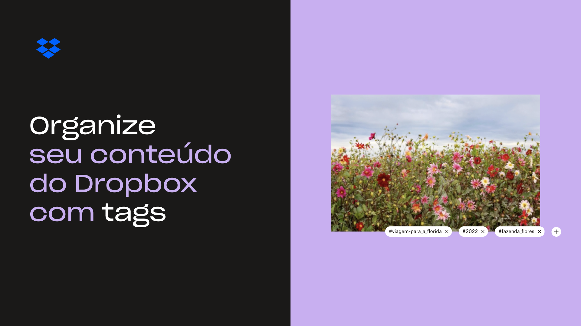 Miniatura de Organizar seu conteúdo do Dropbox com marcações 