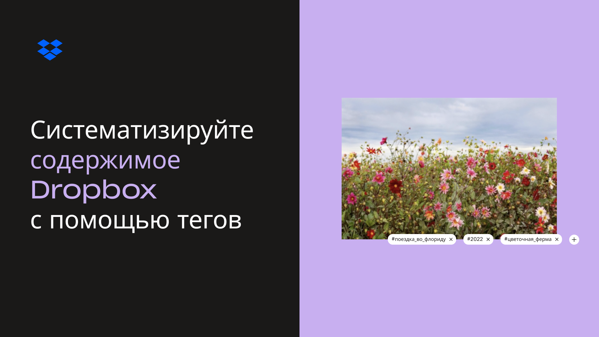 Систематизируйте содержимое Dropbox с помощью тегов (миниатюра)