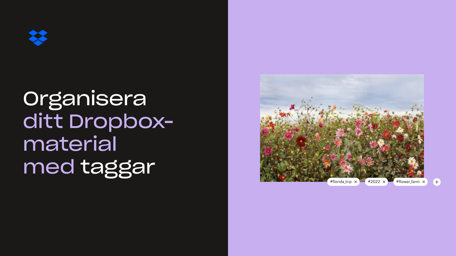 Miniatyrbild för Organisera ditt Dropbox-material med taggar