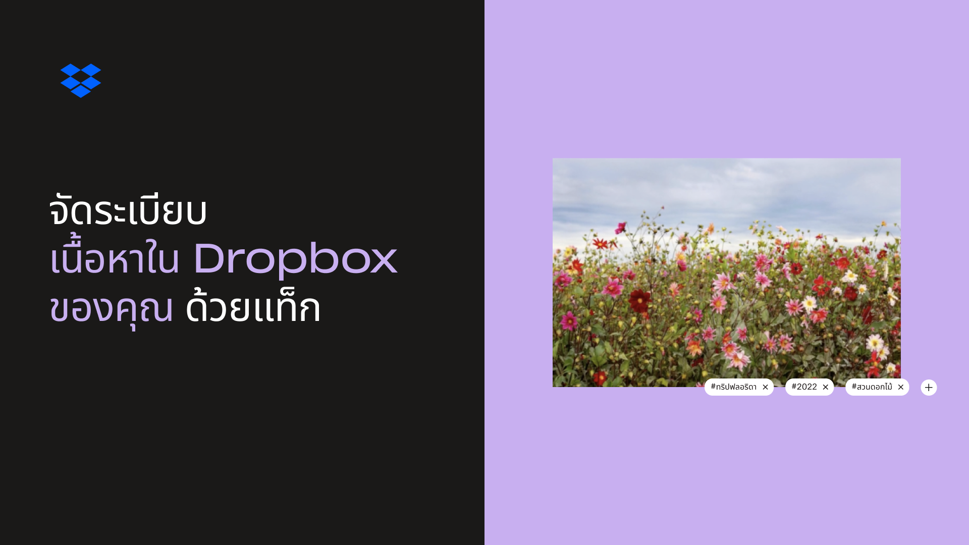 ภาพตัวอย่างจัดระเบียบเนื้อหาใน Dropbox ของคุณด้วยแท็ก 