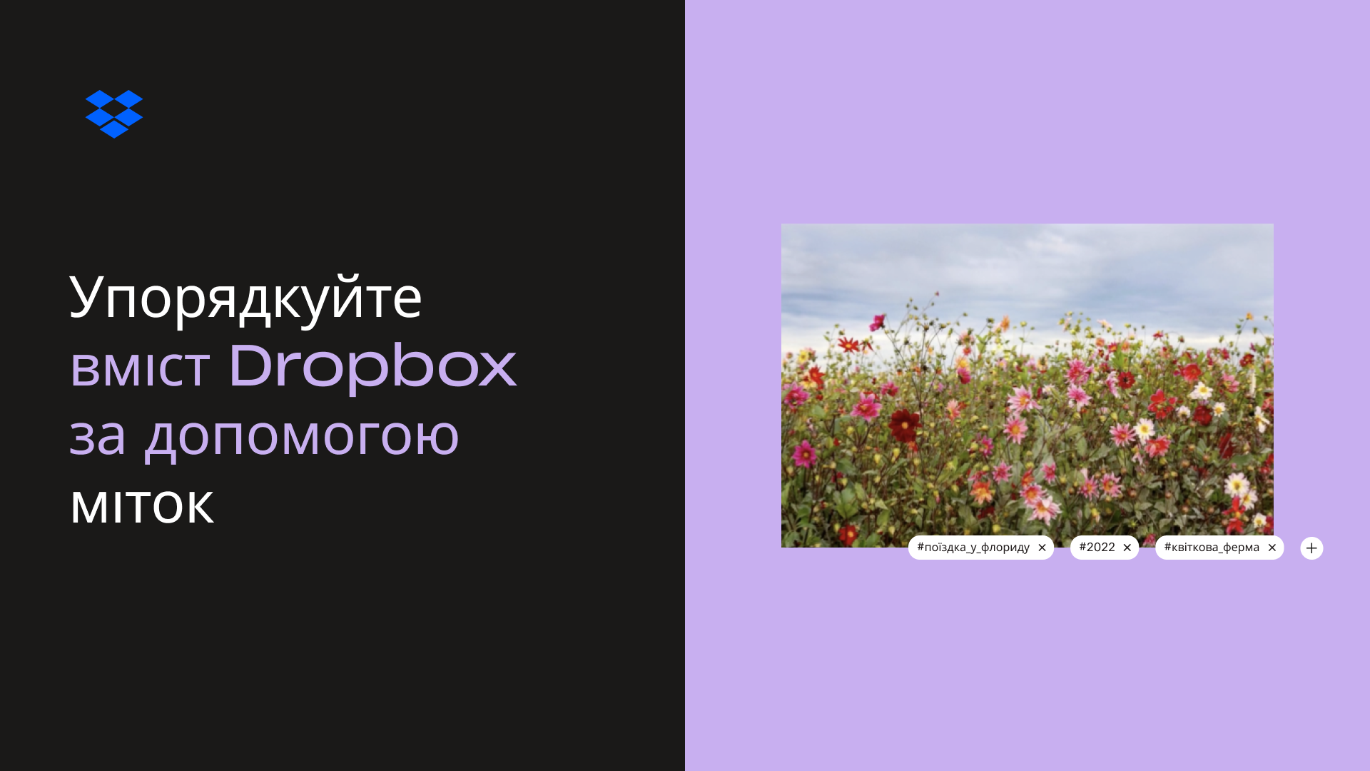 Мініатюра «Упорядкуйте вміст Dropbox за допомогою міток»