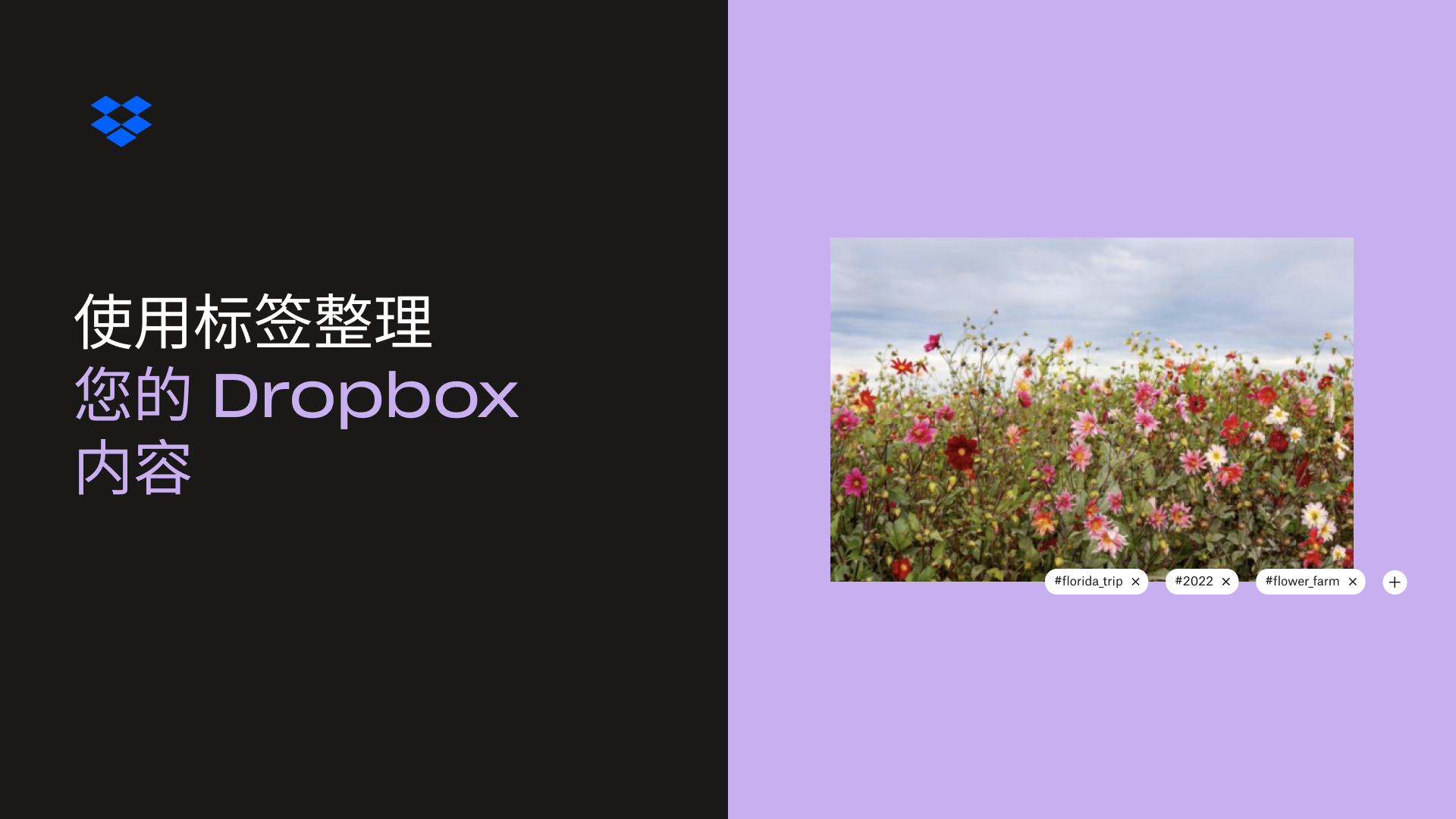 “使用标签来整理 Dropbox 内容”缩略图 
