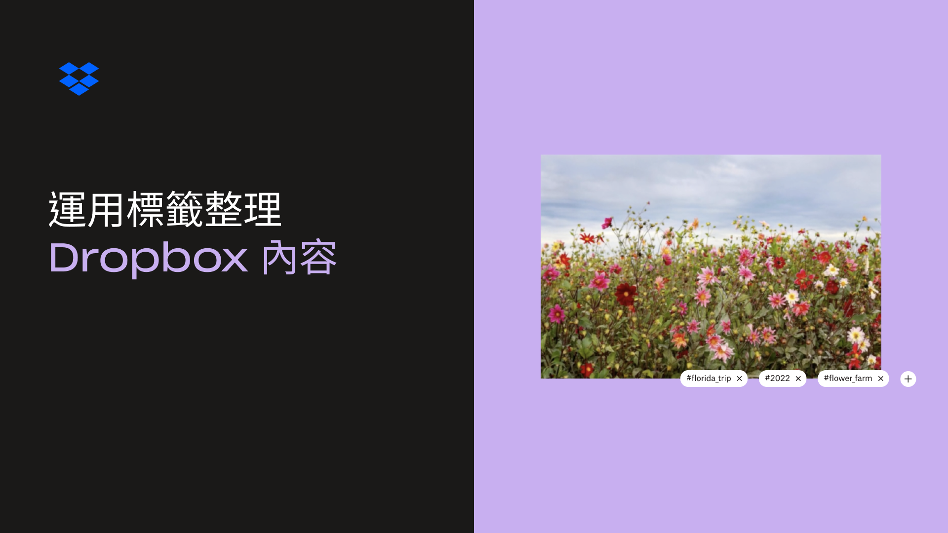 使用標籤縮圖來整理您的 Dropbox 內容 