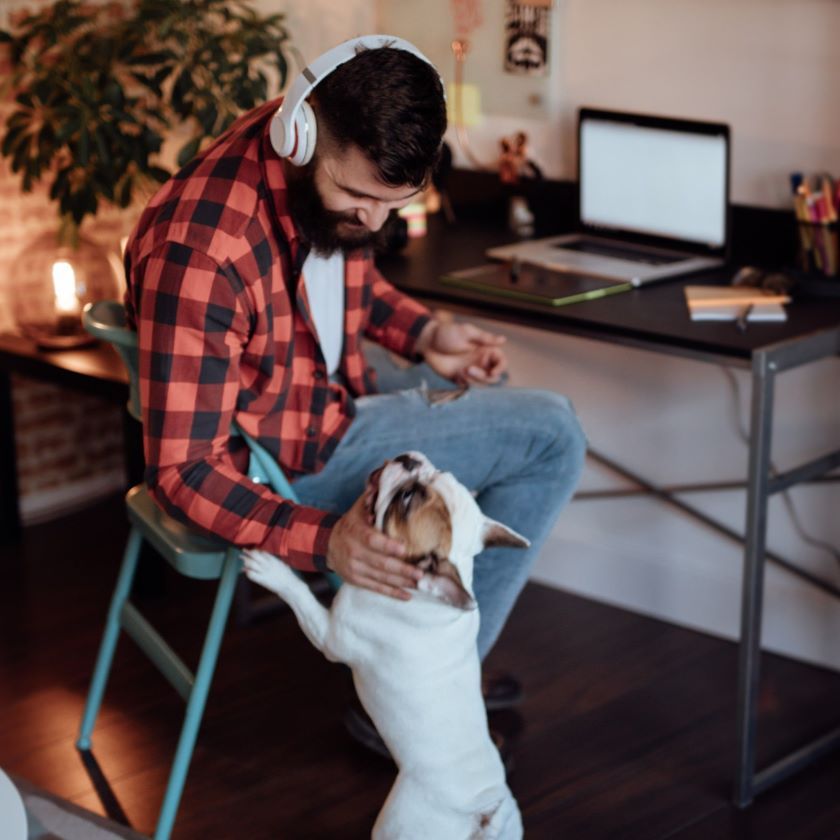 A remote worker enjoys the comforts of home, spending time with their pets whilst working.