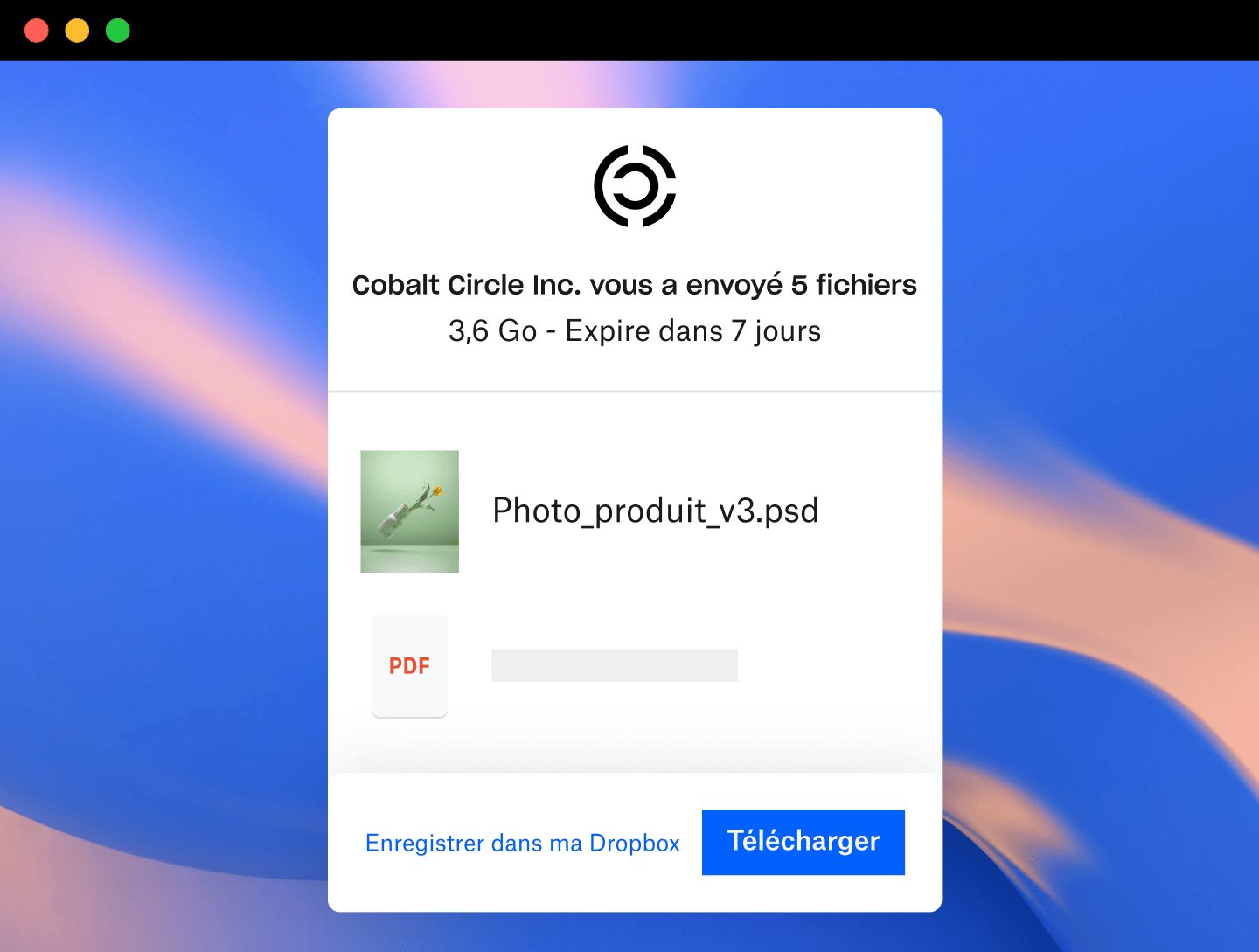 Capture d’écran d’un utilisateur recevant des fichiers avec un logo de marque personnalisé dans Dropbox Transfer