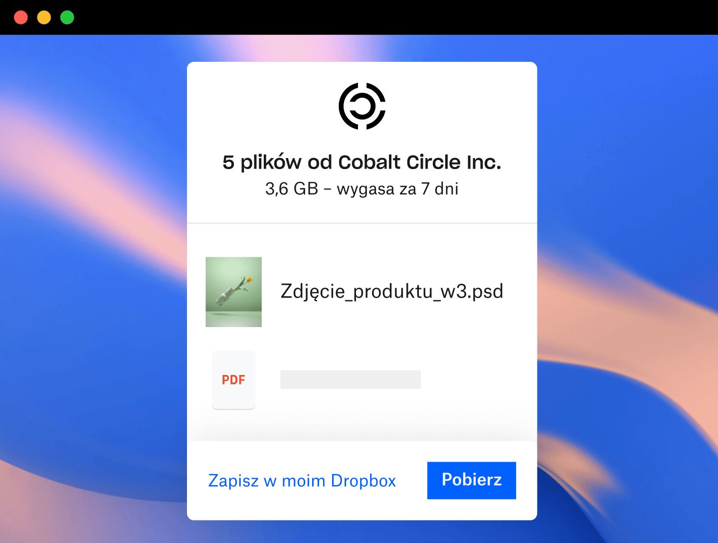 Zrzut ekranu plików odbieranych przez użytkownika w Dropbox Transfer z własnym brandingiem
